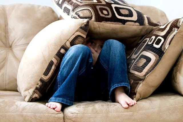 _mitos-e-verdades-sobre-a-impermeabilizacao-de-sofa.jpg