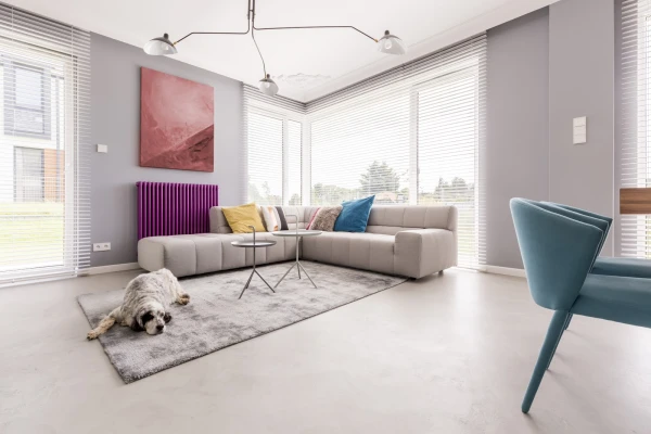 Dog in a house interior P6D5GAZ
