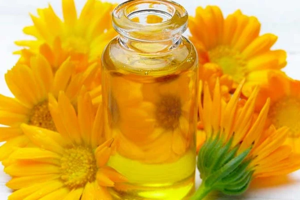 Cozinha aromática: cozinhe com óleos essenciais