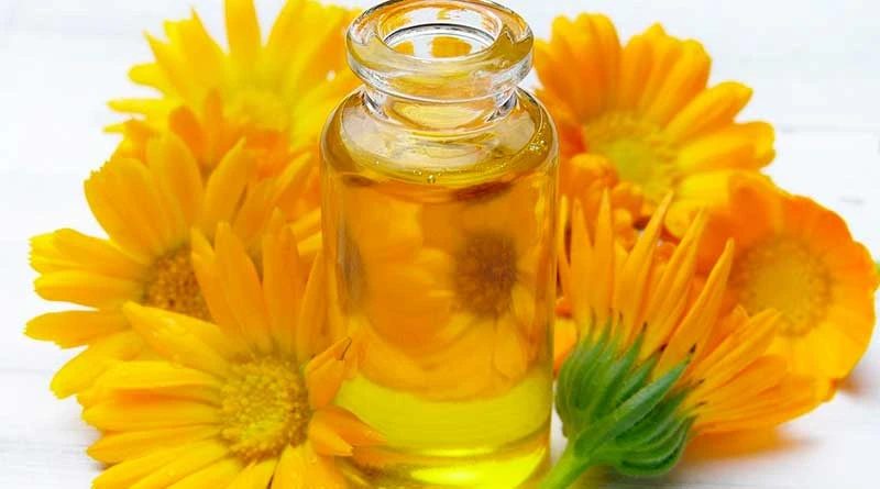 Cozinha aromática: cozinhe com óleos essenciais